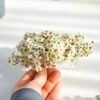 "Miss Daisy" hair comb - Image 5