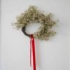 Gypsophila collection: no. 3