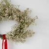 Gypsophila collection: no. 3 - Image 2